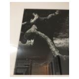 Aaron Siskin, Dated 1973