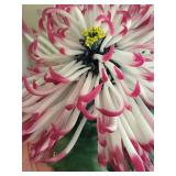 Semi Precious Stone Chrysanthemum  