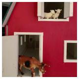 Wooden Barn Doll House