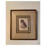 Owl Print
