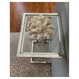 Coral on Lucite Base