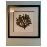 Art Print of Sea Fan