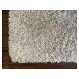 Shag Rug