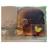 MTV Music Awards Book, Framed Butterflies, Dino Pet from Biopop