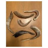 Ram Horn Shofar