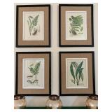 Botanical Prints
