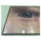 Tony Tasset, Eyeball, Award Winning Chicago Artist