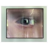 Tony Tasset, Eyeball, Award Winning Chicago Artist