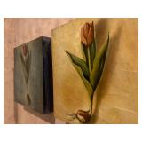 The Tulip Box, Limited Edition Tulip Series