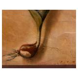 The Tulip Box, Limited Edition Tulip Series