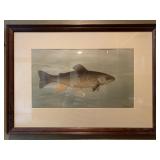 Fish Print by J.L. Petrie 