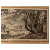 Merrill, Wood Engravings