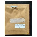 Cemetery Dweller #47 by Debra Howell Collage