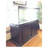 75 Gallon Aquarium