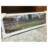 Super Bowl XXXVIII Panoramic 