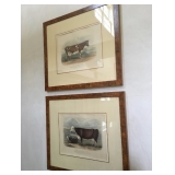 Mr Nicholson, The Breeds of the Domestic Animals. The Ayshire Breed and Hereford Breed. 