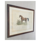 French Hand Colored Lithograph 