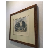 Mr. Nicholson After Paintings of Mr Shiels, Illustrations of the Breed of the Domestic Animals. Old 