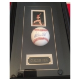 Carlton Fisk Autographed Baseball