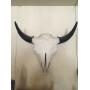 Western Collectors Online Estate Sale 