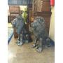 Bronzes, Coins, Gold, Jewelry, and Tons of Furniture Online Auction