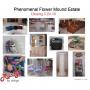 Phenomenal Flower Mound Online Auction 