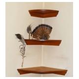 Shelves, Turkey Feathers