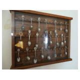 Spoon Collection