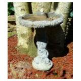 Bird Bath