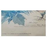 Showing Sigature & Etc Bird Print Showing Sigature & Etc Bird Print 