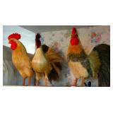 Large Chicken Collection