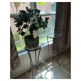 Heavy iron plant stands