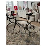 Titanium Bike