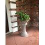 Nice County Home w/Primitives & Collectibles