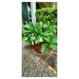 Artist Estate Sale 50% off sunday