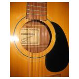 12 string guitar