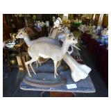 Taxidermy - Standing Mounts