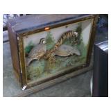 Quails in Shadow Box
