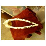 Scrimshawed Walrus Skull & Tusks