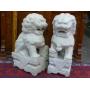 Antique Estate Sale - EVERYTHING MUST GO!!! - Store Display Cases
