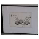 Seashell Art / Picture