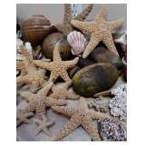 Awesome Cedar Wood Net Floats & Sugar Starfish