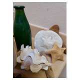 Sand Dollars, Clam Shells & Crock Bottle