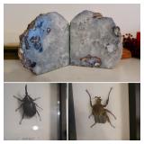 Natural Stone Bookends & Beetle Taxidermy