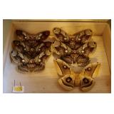 Moth Taxidermy
