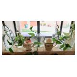 Ivy in Vase-$3.00 each