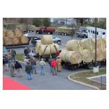 previous hay auction 