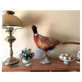 Taxidermy Ring Neck Pheasant