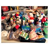 Cleaning supplies, pesticides, etc.