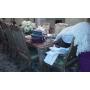ALIXS TAG SALES ON MORGANS ISLAND/ GLEN COVE
